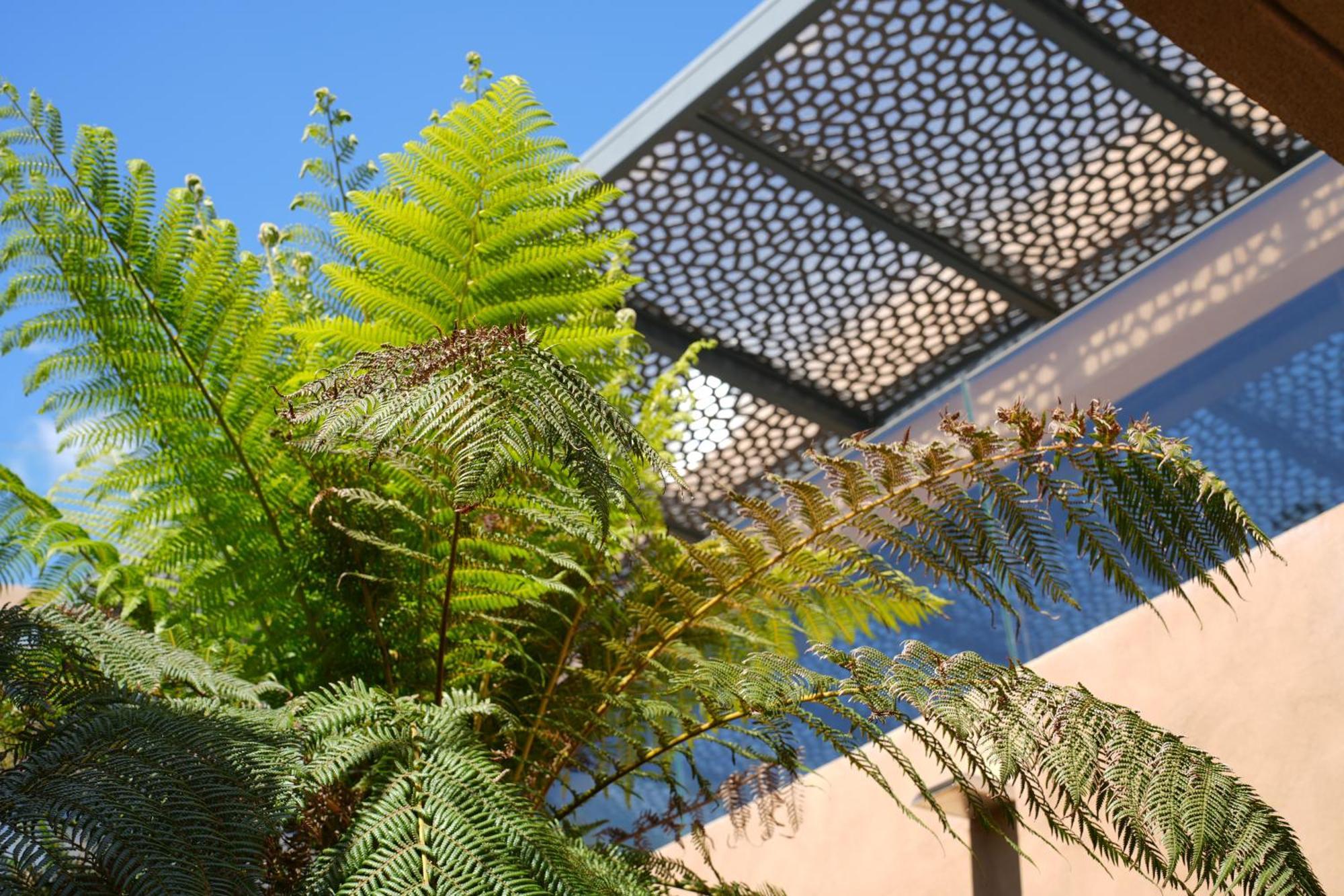 Les Regalia Hotel & Spa Sainte-Lucie de Porto-Vecchio Εξωτερικό φωτογραφία